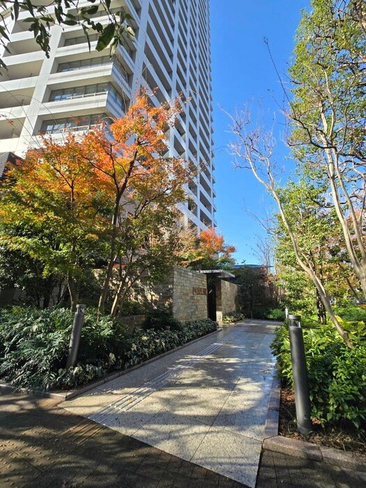 ｻﾞ･ﾊﾟｰｸﾊｳｽ西新宿ﾀﾜｰ60(3317)の外観写真