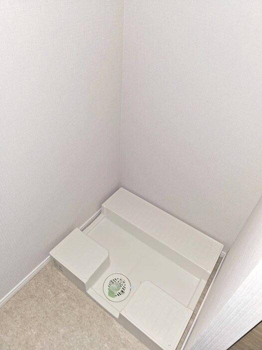 ｻﾞ･ﾊﾟｰｸﾊｳｽ西新宿ﾀﾜｰ60(3317)の洗濯機置場