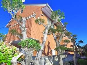 ﾒｲﾌﾟﾙﾋﾙｽﾞＴ-1外観写真