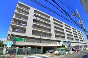 柏ハイツ(710)外観写真