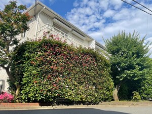 国立グリーンヒルスクエアⅠ－Ｄ外観写真