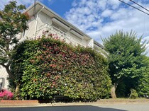 国立グリーンヒルスクエアⅠ－Ｄの外観写真