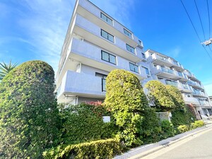 ﾗｲｵﾝｽﾞﾏﾝｼｮﾝ立石ﾘﾊﾞｰｻｲﾄﾞ(310)外観写真