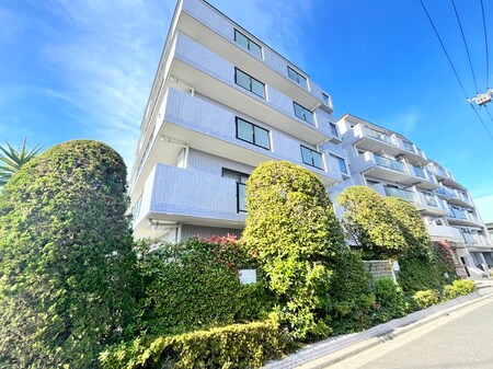 ﾗｲｵﾝｽﾞﾏﾝｼｮﾝ立石ﾘﾊﾞｰｻｲﾄﾞ(310)外観写真