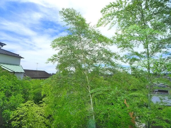 室内からの展望