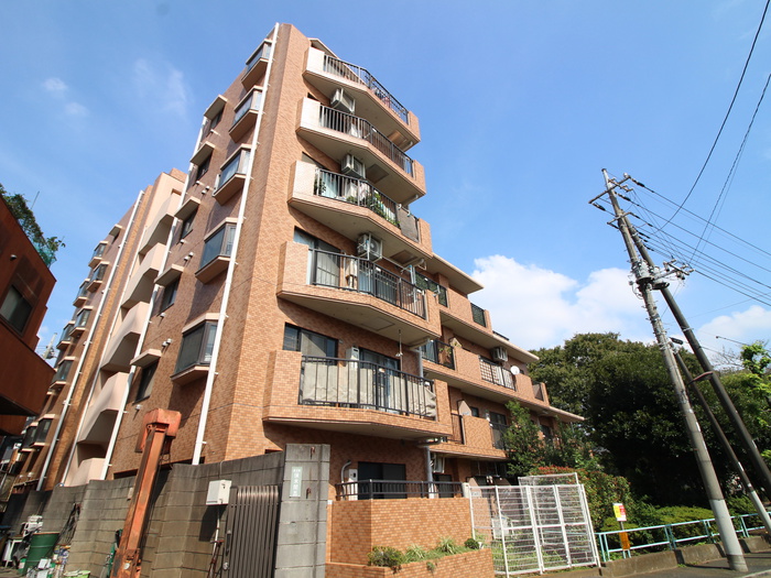 ﾗｲｵﾝｽﾞﾏﾝｼｮﾝ竹の塚第5(302)