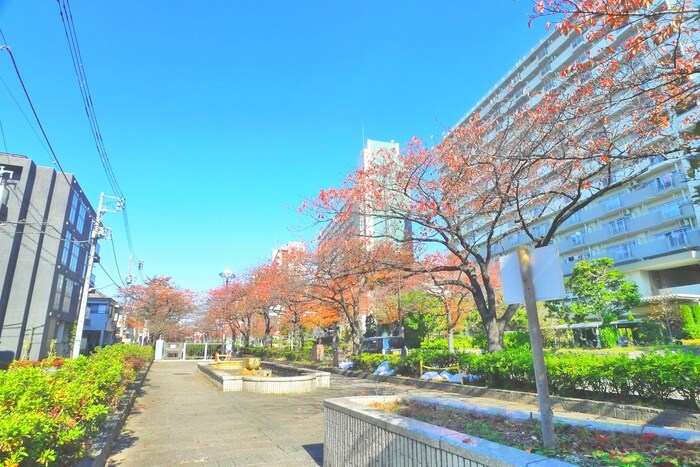 物件外観写真6　(周辺環境)