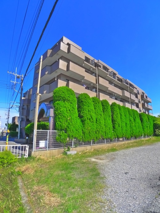 カザベ－ラ浜野（５０７）の物件外観写真