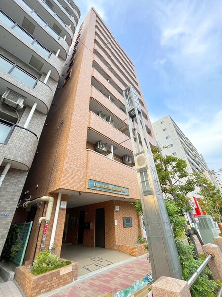 ﾗｲｵﾝｽﾞﾏﾝｼｮﾝ亀戸第６(202)外観写真