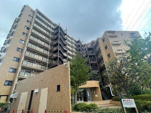 ﾗｲｵﾝｽﾞﾏﾝｼｮﾝ中央林間第７　411外観写真