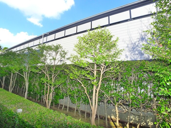 物件外観写真3　(周辺環境)