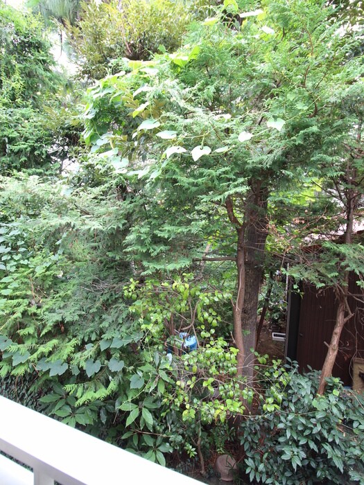 物件内観写真22　(室内からの展望)