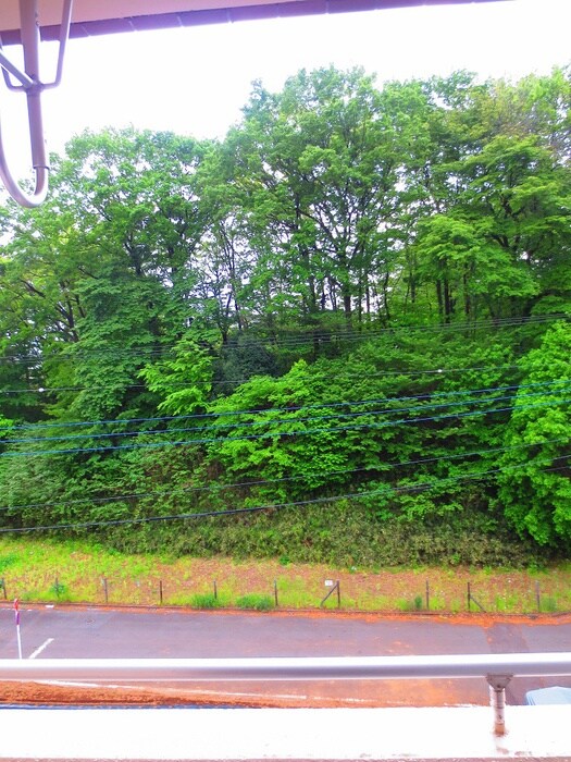 物件内観写真16　(室内からの展望)