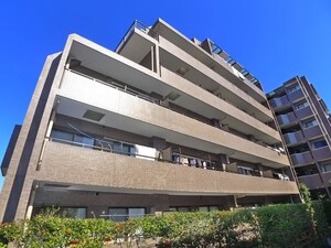 ｺｽﾓ金町ﾛｲﾔﾙｺｰﾄ(311)外観写真