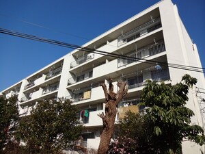 向原団地第2住宅3棟（505）外観写真