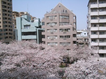 ビスタ竹早外観写真