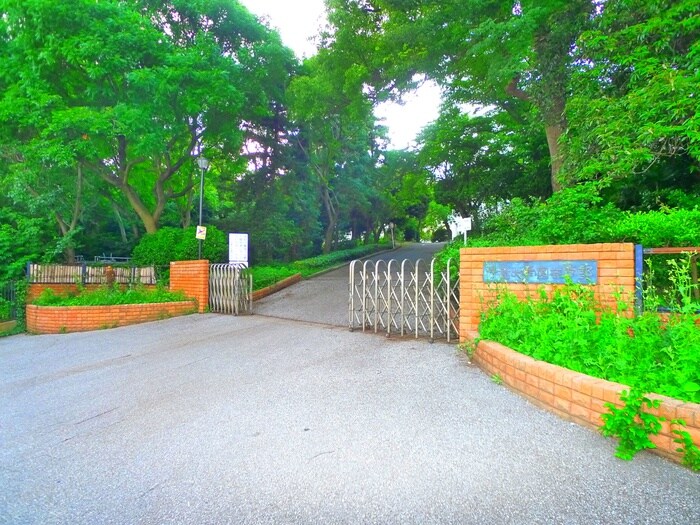千葉大学