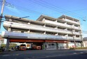 ＣＡＳＡ・ＦＯＲＴＵＮＡ
