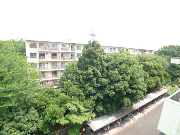 周辺環境