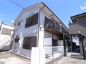 コットン