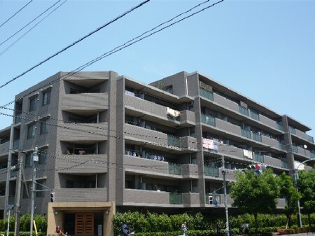 ソフィア志村(504)外観写真