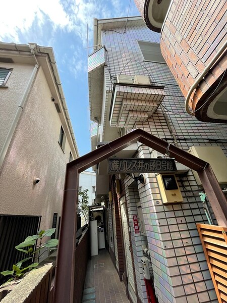 藤パレス井ノ頭Ｂ棟外観写真
