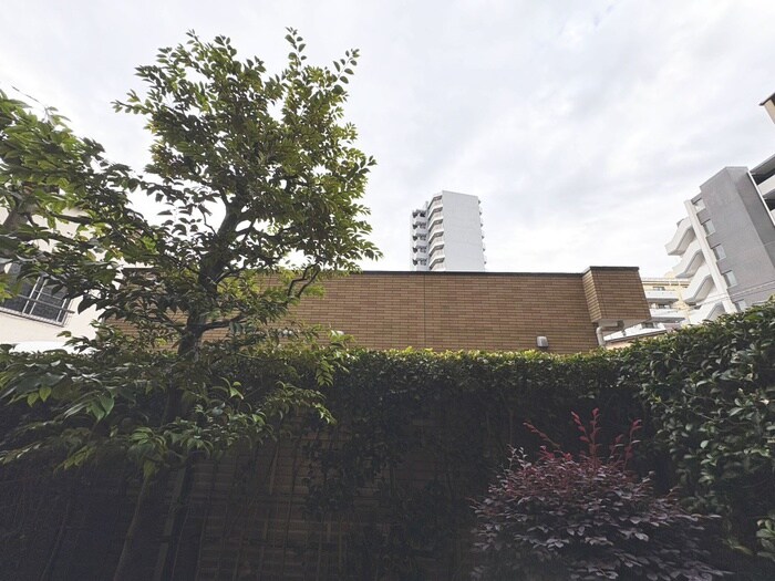 物件内観写真21　(室内からの展望)