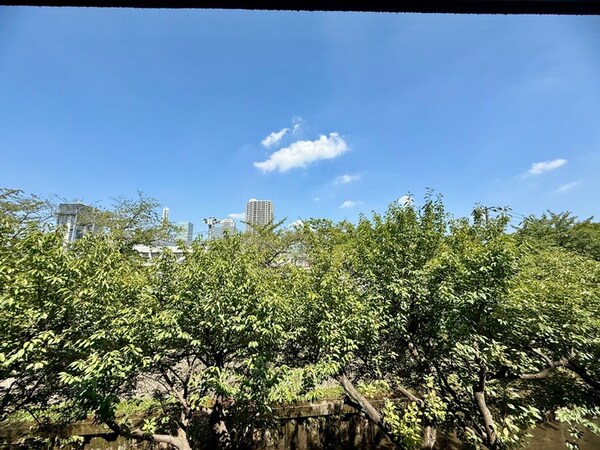 室内からの展望