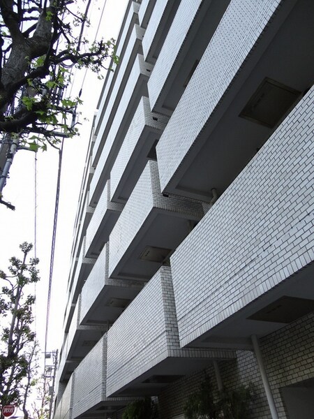 シャトー青山第３(203）外観写真