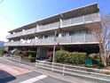 アンス・フォ－・ダイス