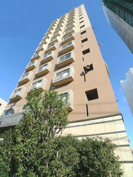 ダイアパレス鳩ヶ谷本町(503)外観写真