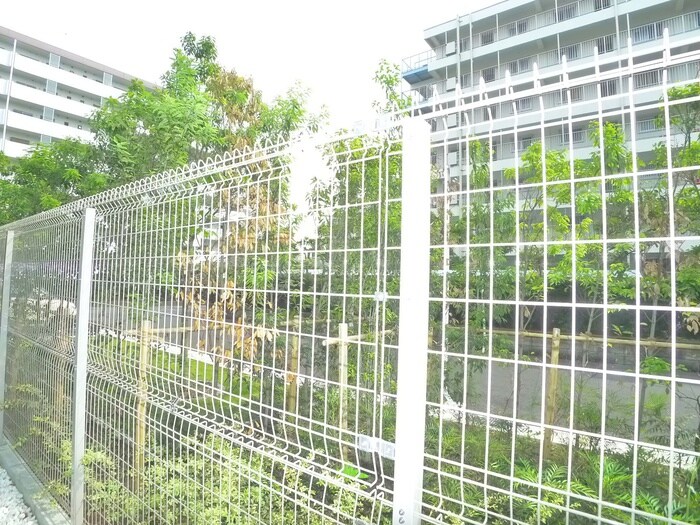 物件内観写真17　(室内からの展望)