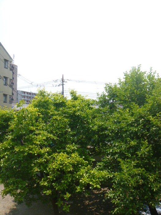 物件内観写真7　(室内からの展望)