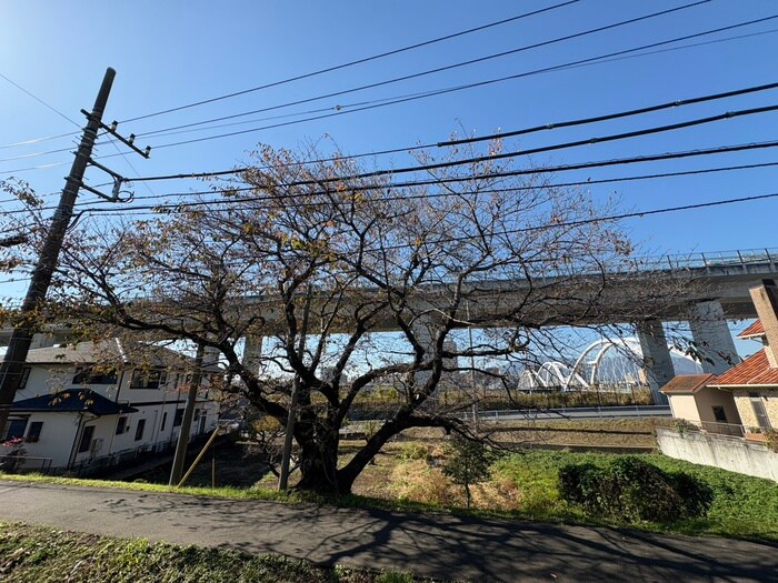 物件内観写真16　(室内からの展望)