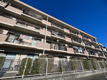 ベルドゥムール草加青柳（105）外観写真