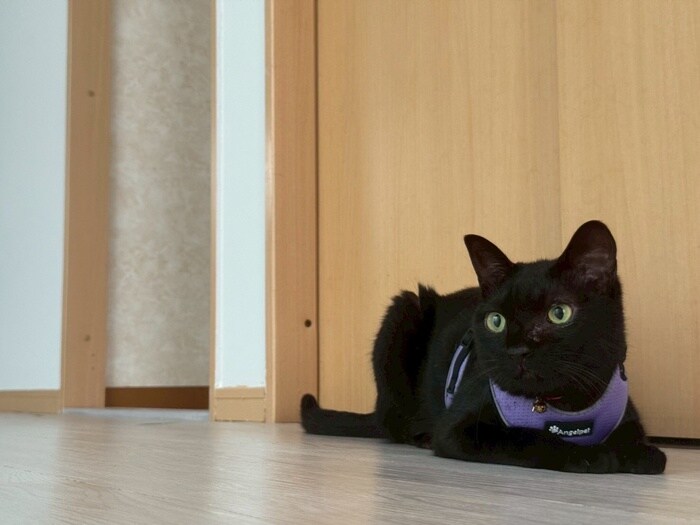 物件内観写真20　(居室)