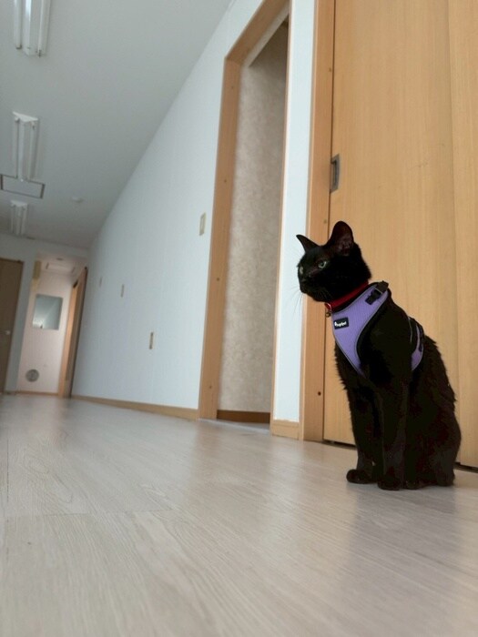 物件内観写真21　(居室)