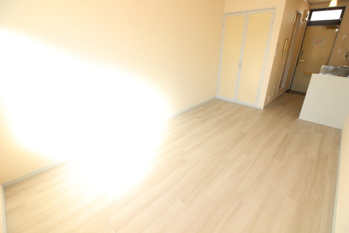 物件内観写真10　(居室)