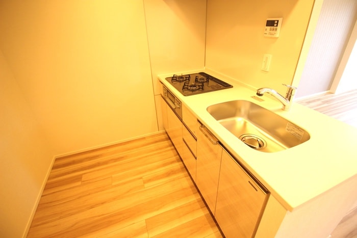 物件内観写真9　(キッチン)