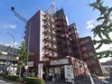 日興パレス羽田(803)