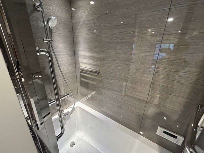 ザ・パークハビオ日本橋三越前の洗面