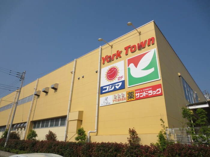 ヨークマート 北金目店