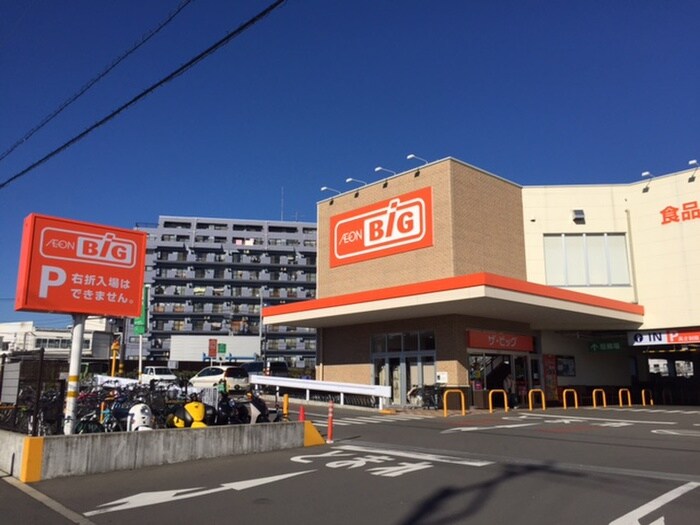 The Big(ザ・ビッグ) 平塚真田店