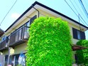 ドリ－ム原市　Ｃ棟