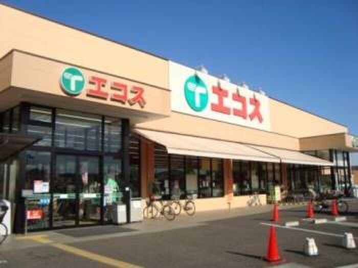 エコス川口店
