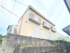 プチトマト外観写真