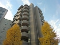 ステージファースト小石川(705)