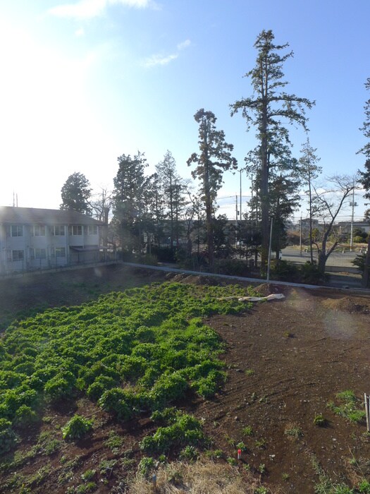 物件内観写真8　(室内からの展望)