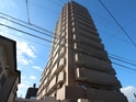 ﾅｲｽｱｰﾊﾞﾝ小田急相模原Ⅲ(403)