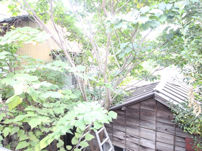 物件内観写真22　(室内からの展望)